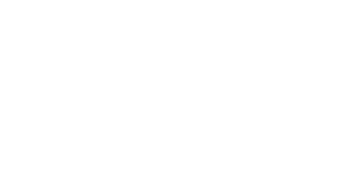 Bin Hindi Logistics Logo