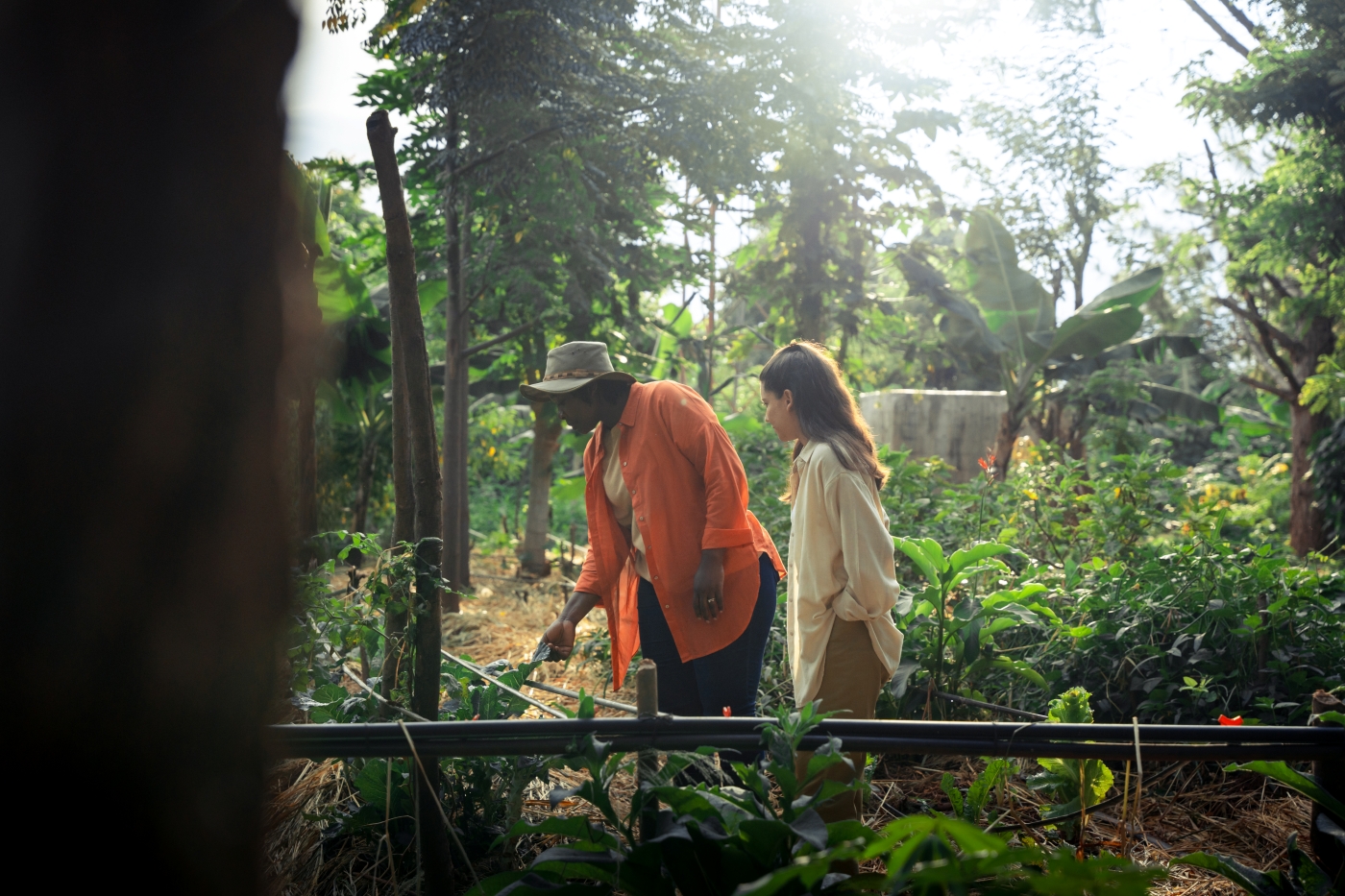 Kia Expands “Cycle of Life: Seeds of Change” Project from GCC to Africa